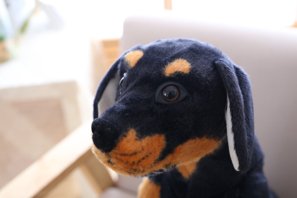 peluche pinscher