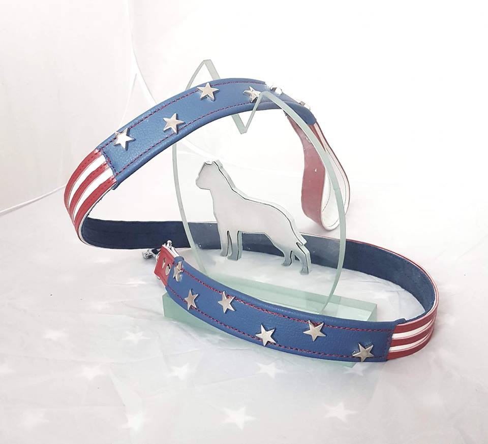 S- 120 cm Ancho 1,2 cm