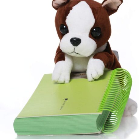 Estuche perro Bulldog frances
