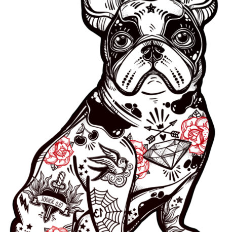 modelo bulldog f camiseta