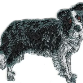 Parche Bordado Border Collie
