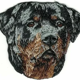 Parche bordado raza  Rottweiler