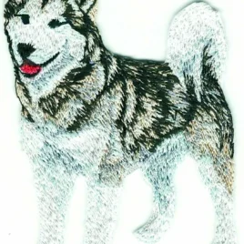 Parche bordado Siberian Husky